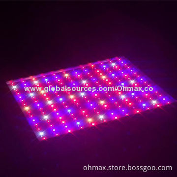 LED grow lamps, 350W, spectrum adjustable, light intensity dimmable for indoor garden plants growth